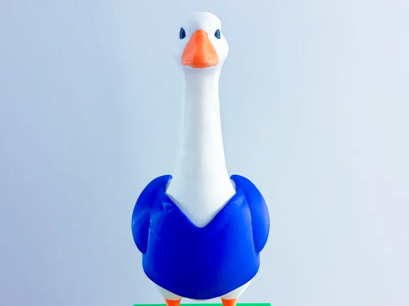 Football Jersey Desk Goose Gear