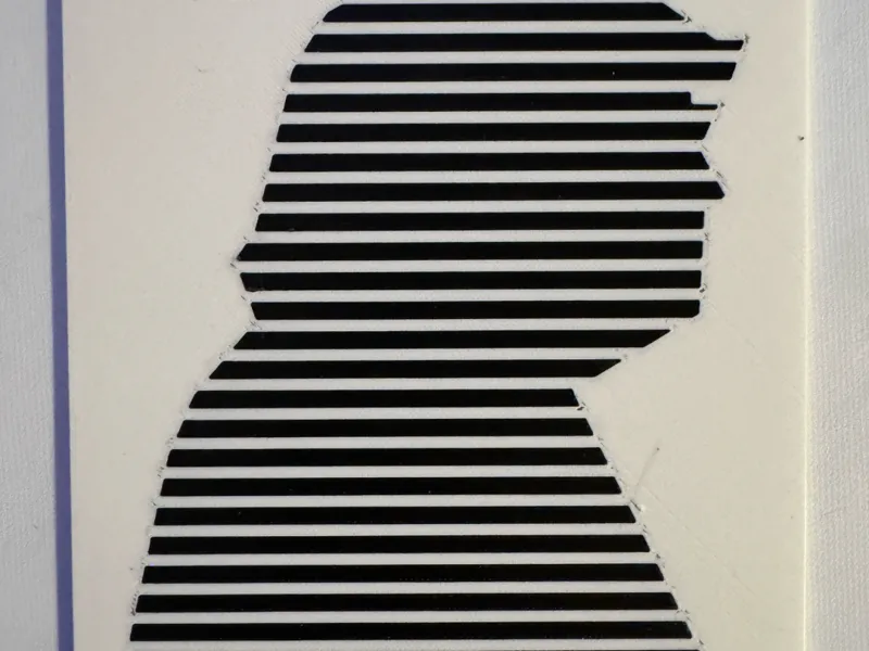 TRUMP Redacted