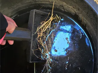 Water bucket showel