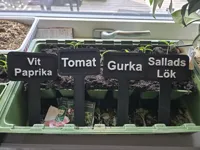 Gurka