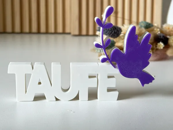 https://makerworld.bblmw.com/makerworld/model/US31c9e357789149/design/2025-06-11_c373caba3e01d.jpg