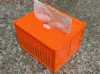 Tissue Box