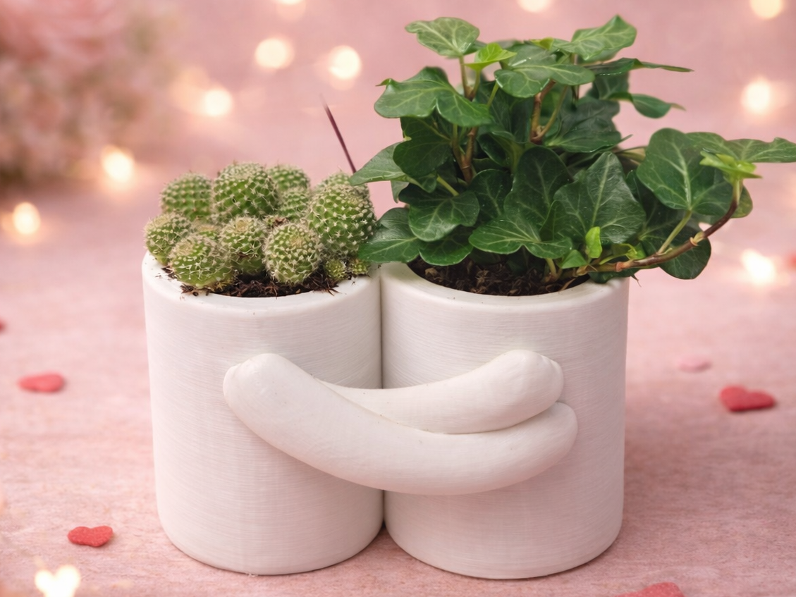 Embrace Planter – A Small Object with a Big Heart