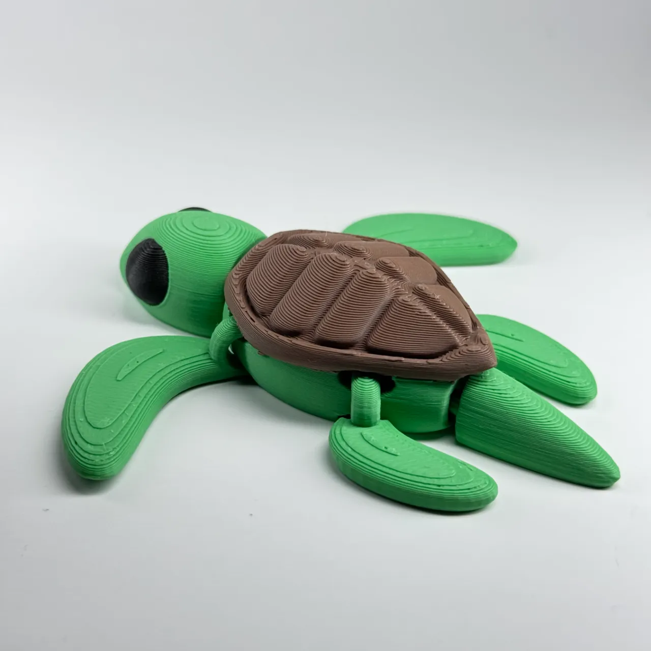 Articulated Sea Turtle! view 4