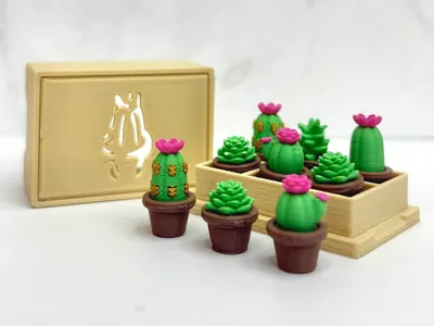 Mini Succulents!