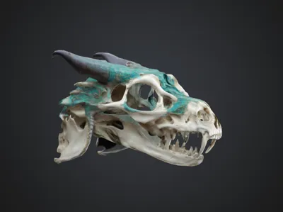 Ornate Dragon Skull