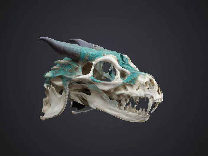 Ornate Dragon Skull