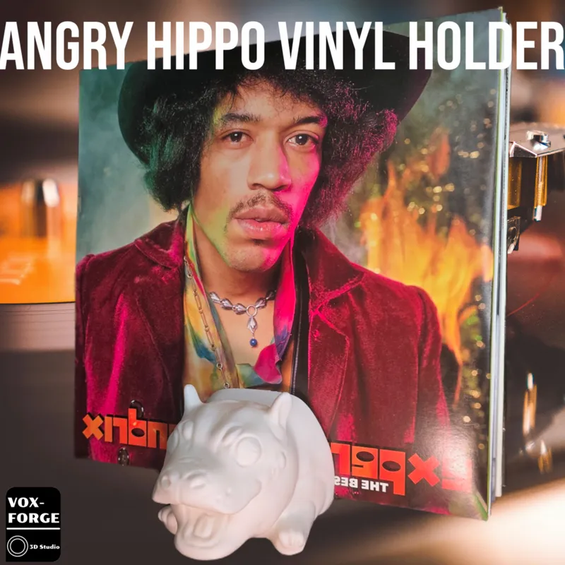 Moo Deng Vinyl Record Holder. 