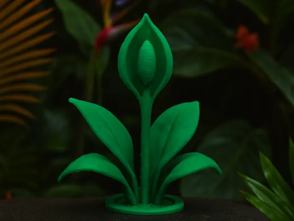 https://makerworld.bblmw.com/makerworld/model/US31dabb9f474425/design/2025-10-03_b70d593c00b4e8.png