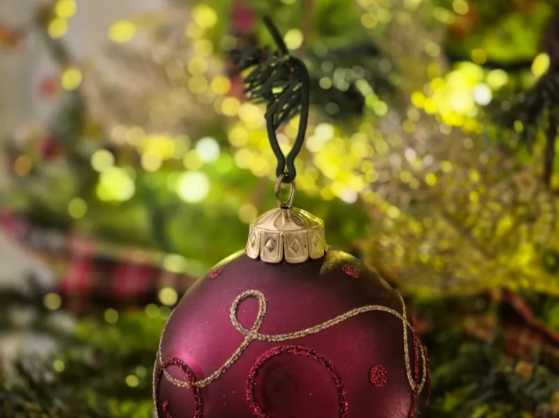 Ornament Hook