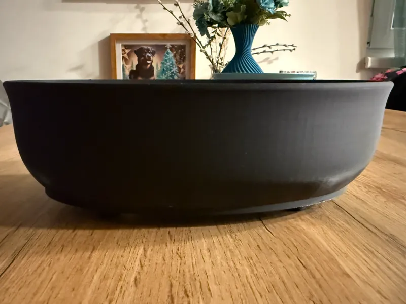 Bonsai Pot