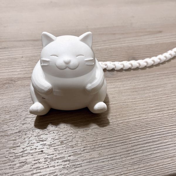 https://makerworld.bblmw.com/makerworld/model/US31ddd75e4ab12d/design/2025-11-27_9ff2d592b7307.gif
