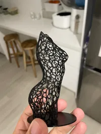 Sculpture voronoï silhouette féminine — photo 2