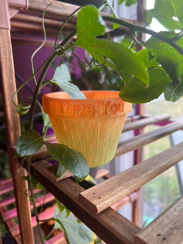 https://makerworld.bblmw.com/makerworld/model/US31e9d54884876b/design/2024-04-27_cb57dde9417df.jpg