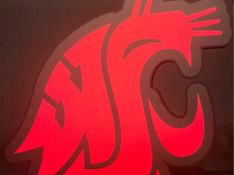 Washington State University Lightbox (WSU)