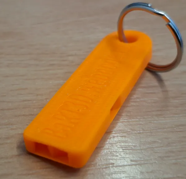 https://makerworld.bblmw.com/makerworld/model/US31ead50ab75693/design/2024-06-13_4f801e627167b.jpg