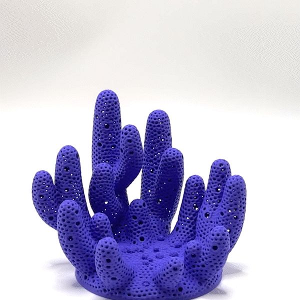 https://makerworld.bblmw.com/makerworld/model/US31ec92631e5261/design/2024-09-29_c369bb0f014848.gif