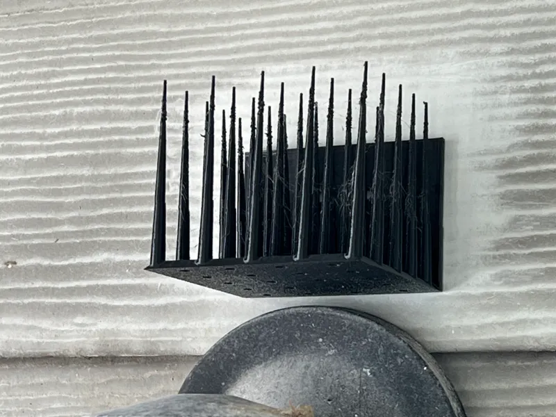 Bird Spikes Deterrent
