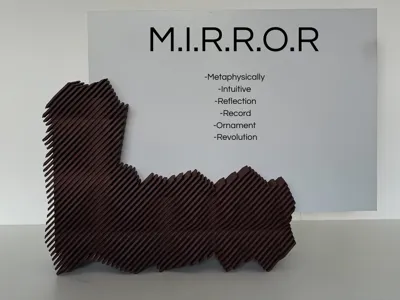 M.I.R.R.O.R.