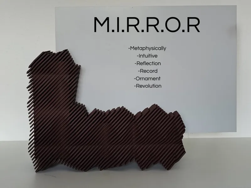 M.I.R.R.O.R.