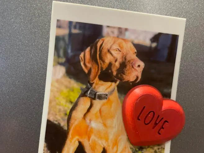Heart Magnet 