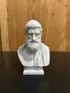 0.2mm layer, 2 walls, 7% infill