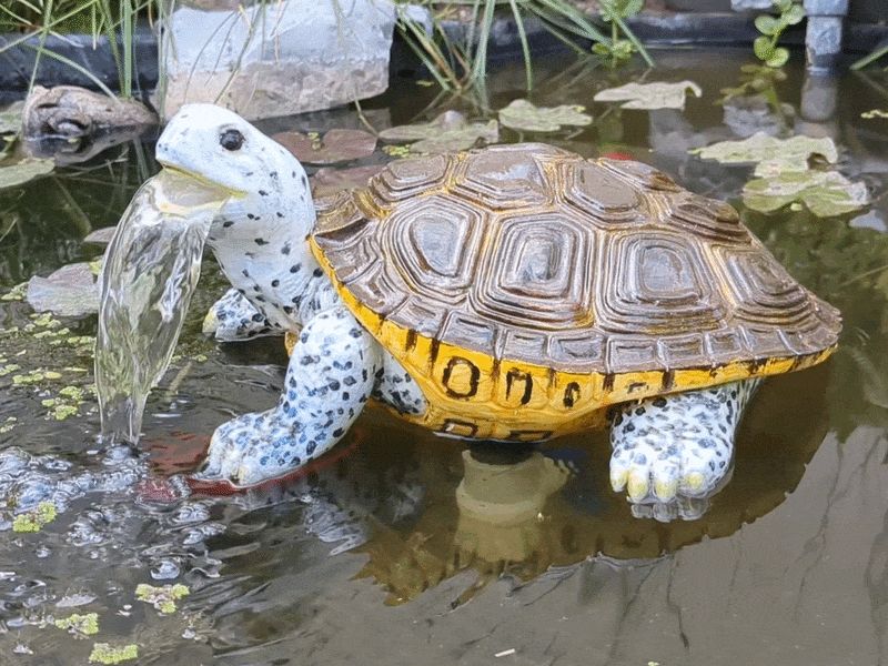 Turtle Water Fountain - Functional for ponds