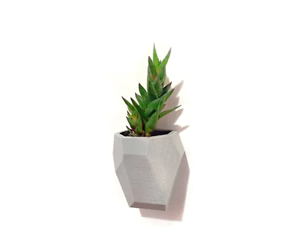 https://makerworld.bblmw.com/makerworld/model/US320d23c7ab069f/design/2024-06-29_ewze115ui0m5.jpg