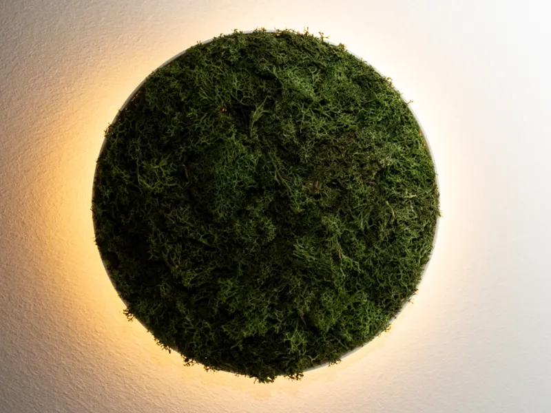 Moos Wandleuchte/Deckenleuchte / LED Lampe