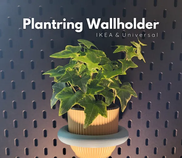 https://makerworld.bblmw.com/makerworld/model/US322795d6d80511/design/2024-02-17_3b07410071bb4.png