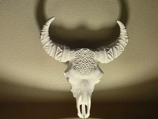 https://makerworld.bblmw.com/makerworld/model/US3228743543c4a1/design/2025-05-11_12e57dd2410c38.webp