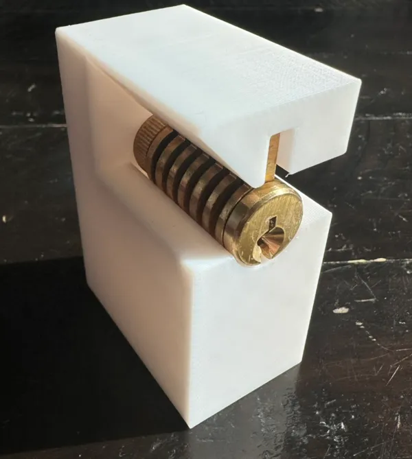 https://makerworld.bblmw.com/makerworld/model/US322ba426e0d626/design/2024-05-27_67559125181158.jpeg