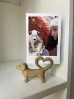 Labrador - 0.2mm layer, 2 walls, 15% infill