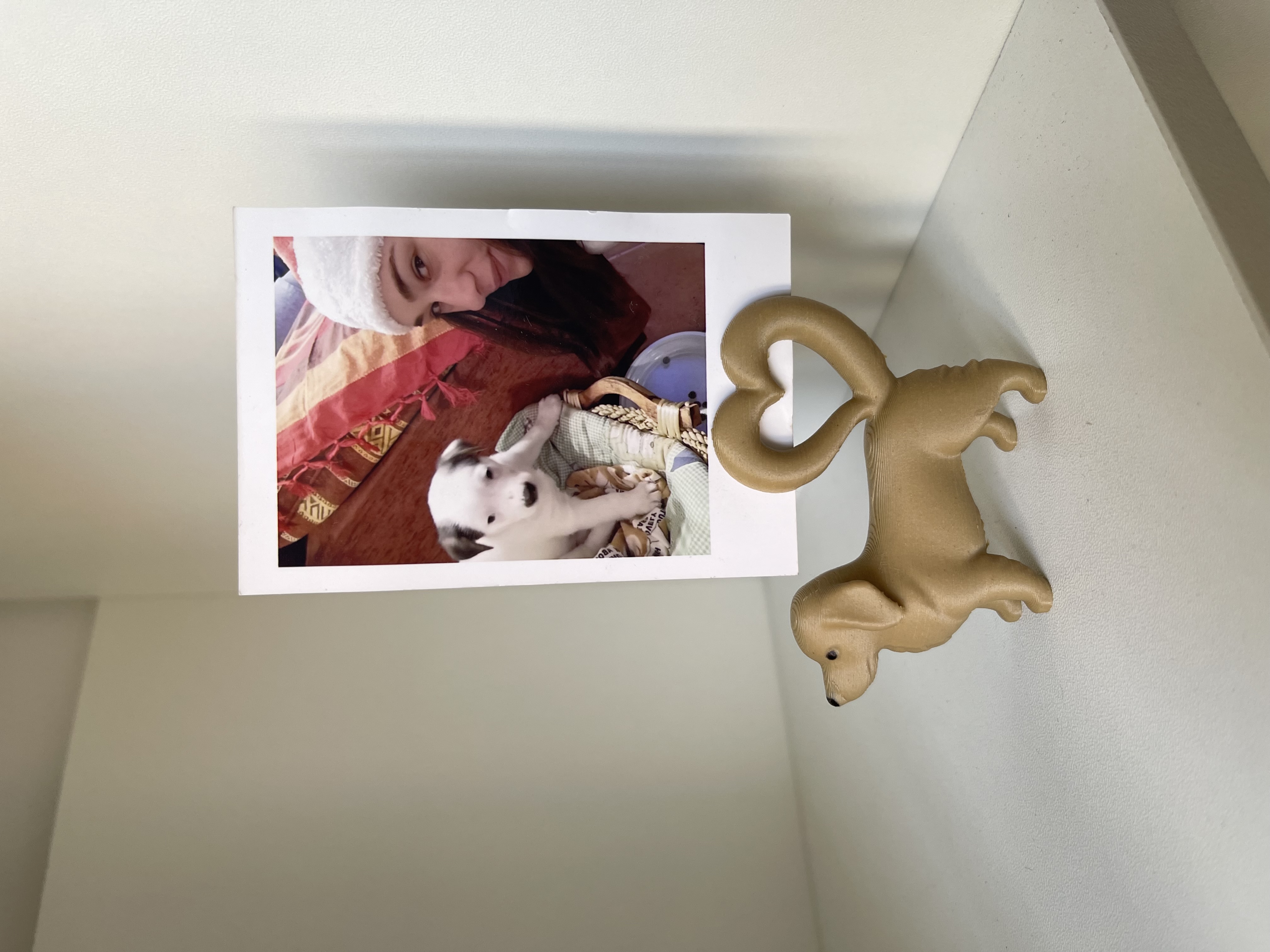 Dog Photo Frame – Cute Picture Holder - 1
