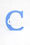 Case