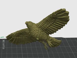 hawk for shooting range