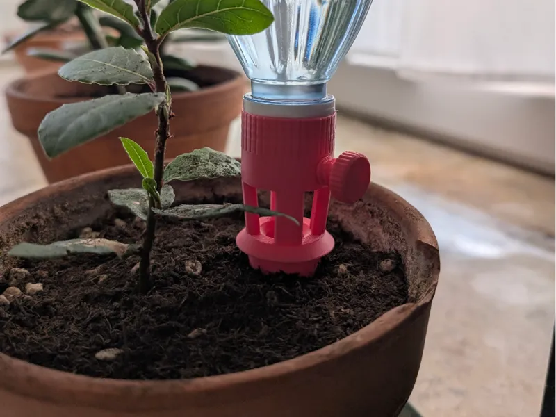 Self watering for plants