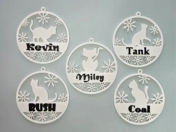 https://makerworld.bblmw.com/makerworld/model/US323fa496d59624/design/2024-11-11_425a2c156934c.jpg