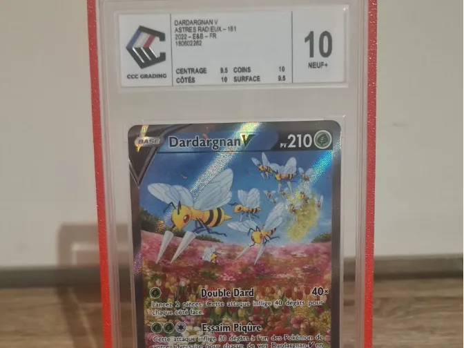 GRADED CARD BUMPER