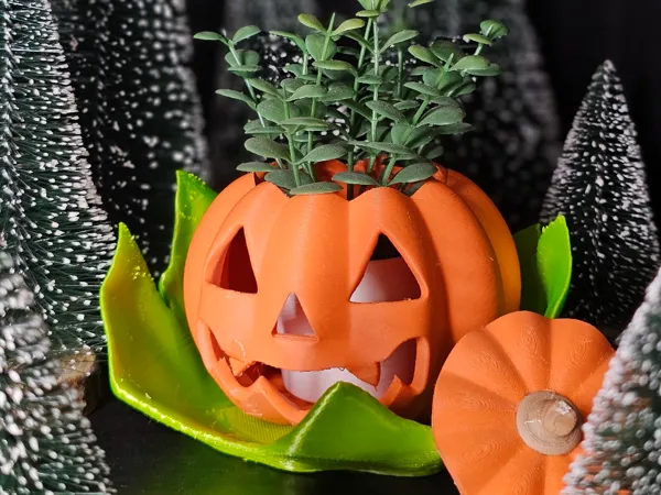 https://makerworld.bblmw.com/makerworld/model/US3242c788bce31b/design/2024-10-29_6bf8f9d49b65b8.jpg