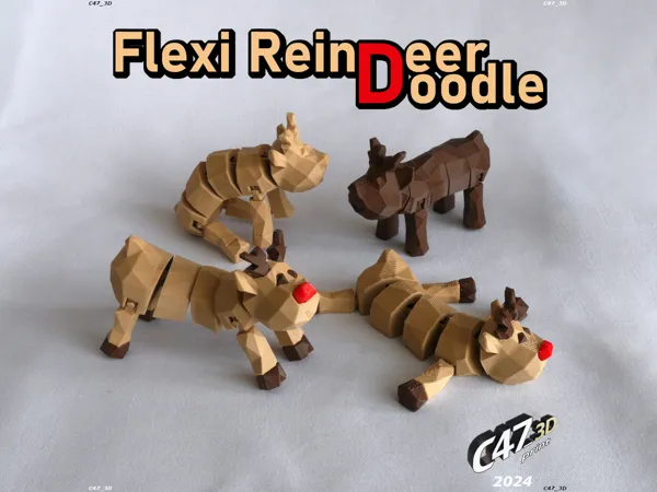https://makerworld.bblmw.com/makerworld/model/US3243b24802e6b6/design/2024-11-24_a78668da3fc06.jpg