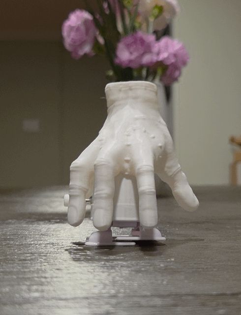 Wind-Up Walking Thing