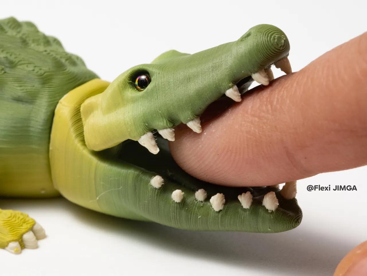 CROCODILE Realistic – Articulated Animal view 3