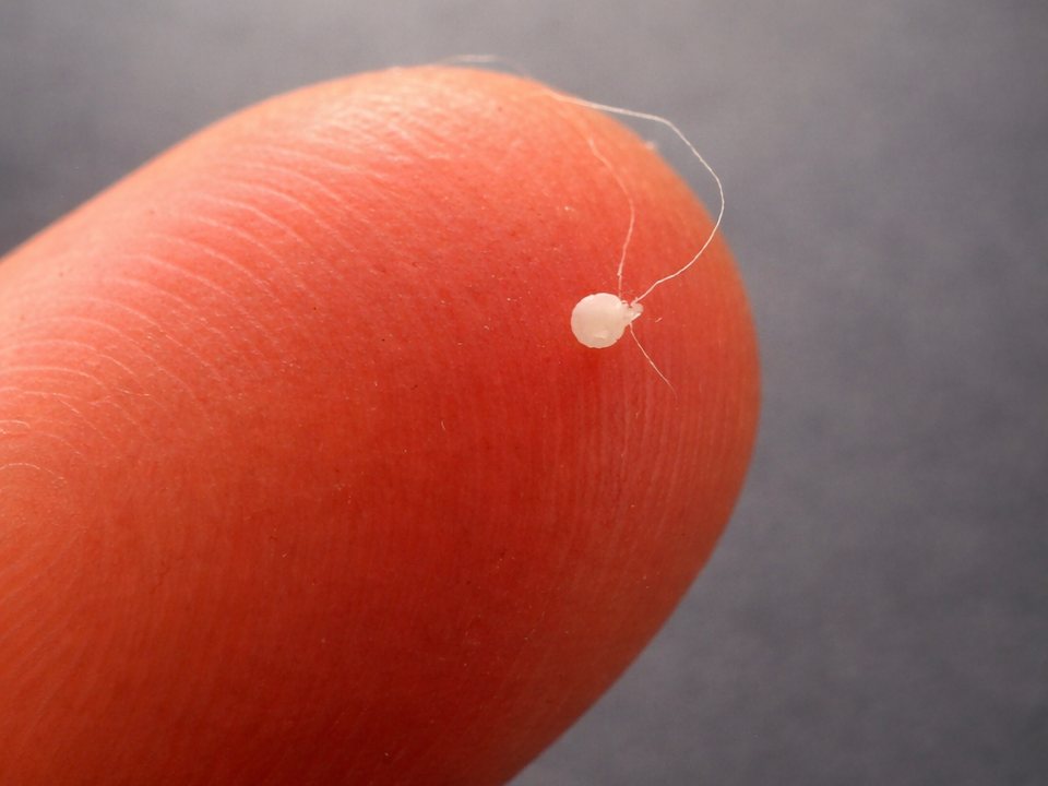 World's Smallest 3d print ever V2