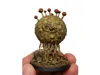 0.2mm nozzle, 0.06mm layer, 2 walls, 12% infill