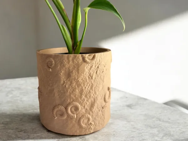 https://makerworld.bblmw.com/makerworld/model/US325495ab2772d3/design/2025-04-02_4b8c1605cc1bb8.jpg