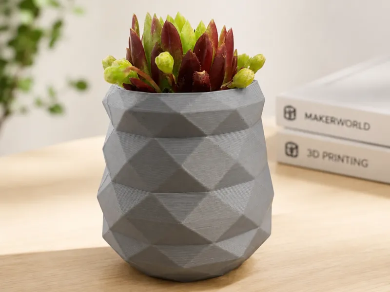 Mini vaso piante grasse e succulente
