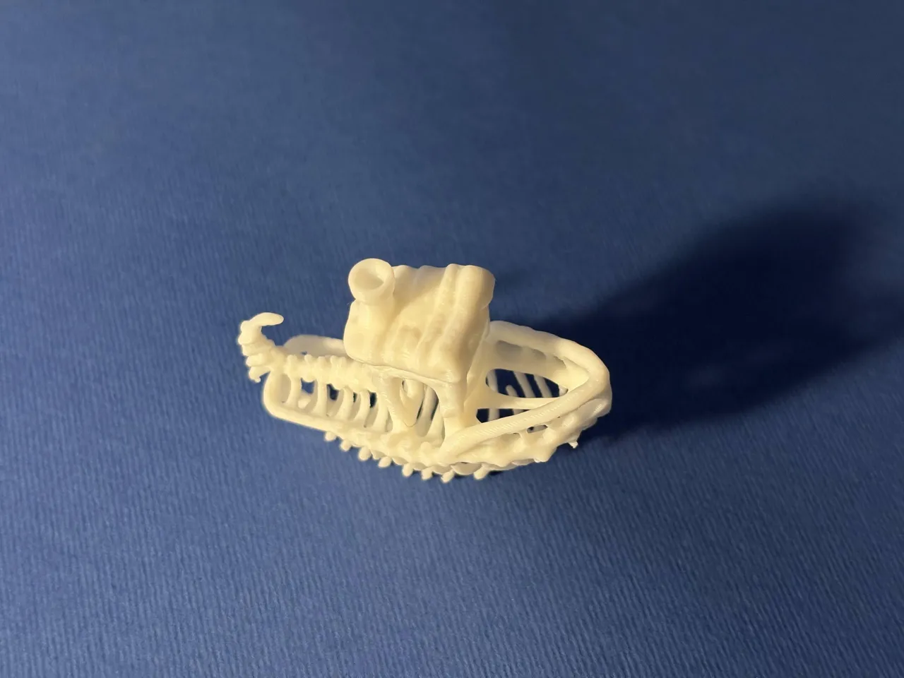 Fossil Benchy view 3