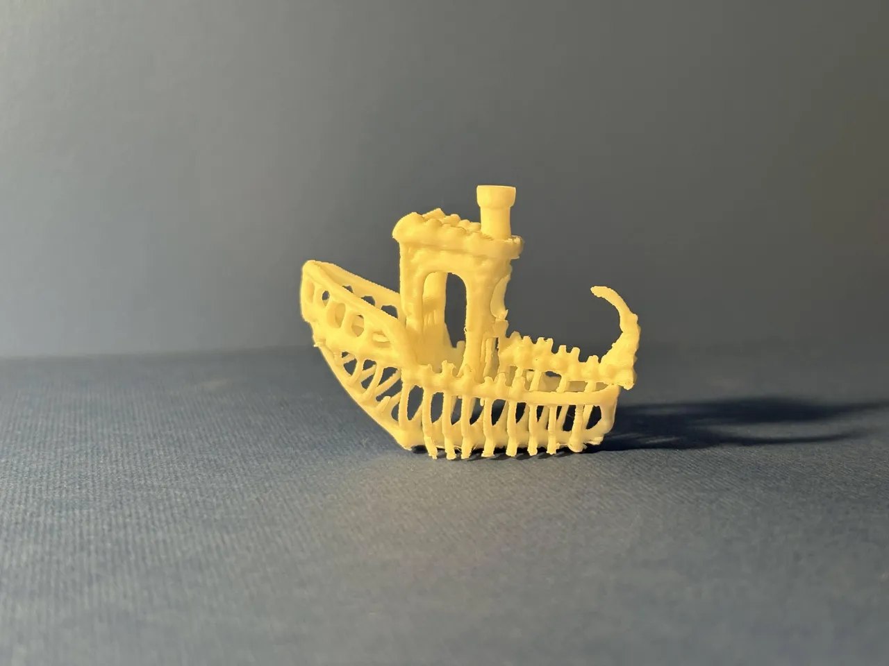 Fossil Benchy view 4