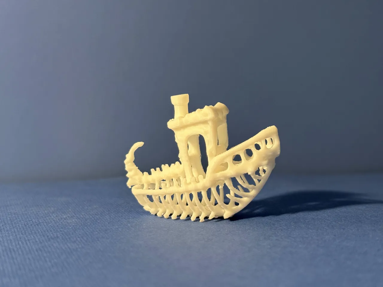 Fossil Benchy view 2